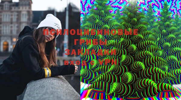 тгк Осинники