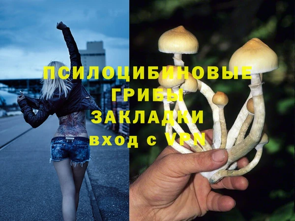 тгк Осинники