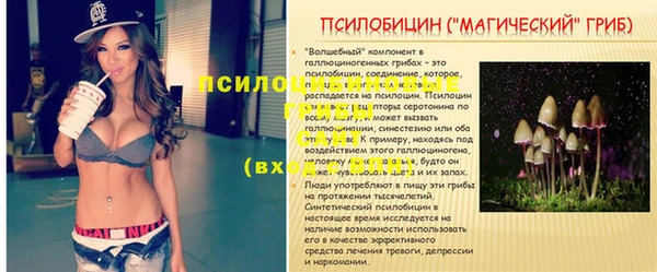 гашиш Осташков