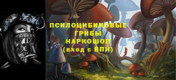тгк Осинники